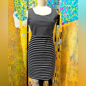 Black & White Stripe Fitted Dress medium